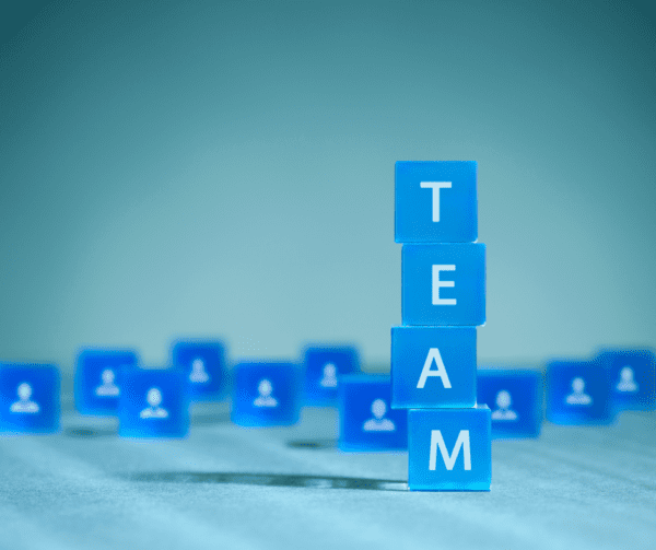 Building blocks make up word 'team'. BDmag 2024