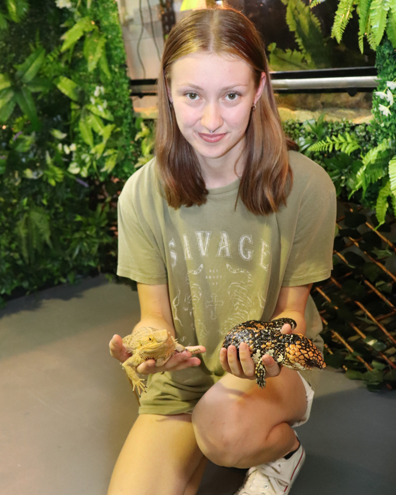 Animal specialist Chelsea Lee holding bearded dragon in right hand and shingleback lizard in left. 

BDmag 

January 2024