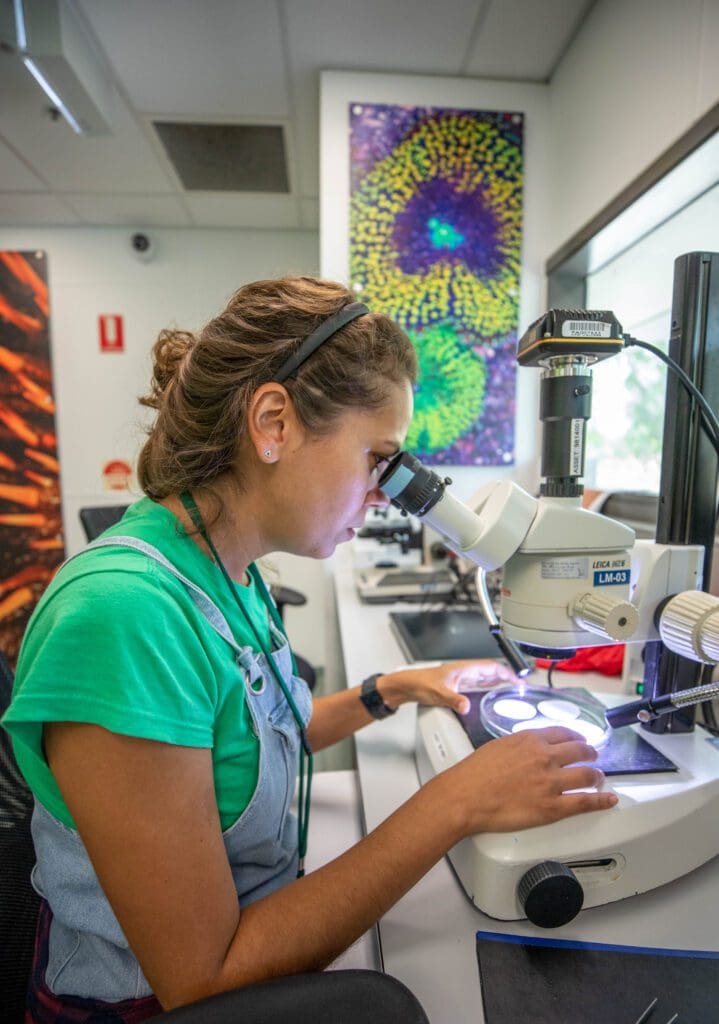 Solidifying Townsville as a global leader in marine research