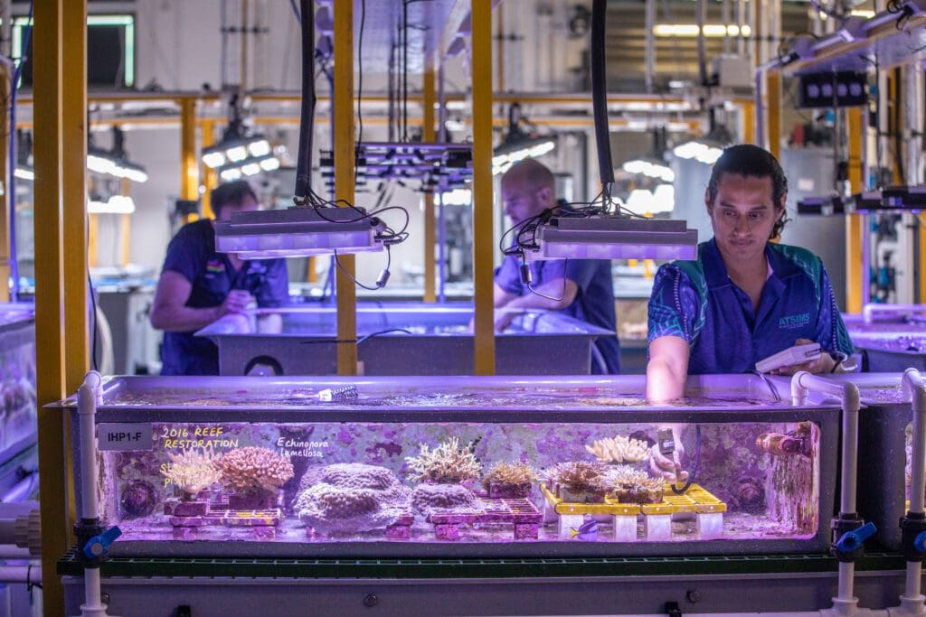Solidifying Townsville as a global leader in marine research